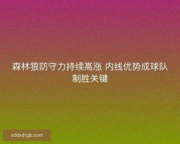 森林狼防守力持续高涨 内线优势成球队制胜关键